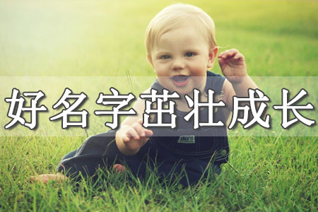 取名字大全男孩生辰八字起名