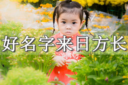 女孩的小名字大全洋氣屬虎